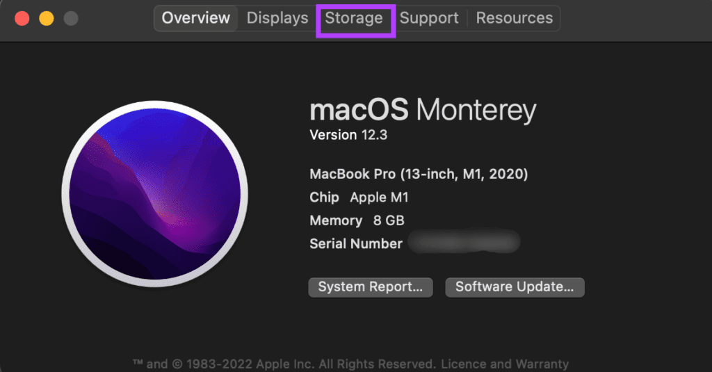 Вариант хранения на этом Mac