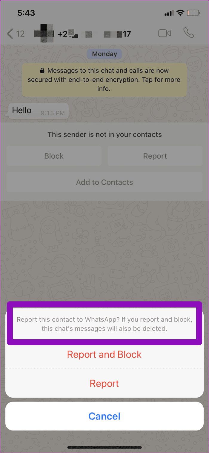 Что происходит, когда вы сообщаете кому-то в WhatsApp 08