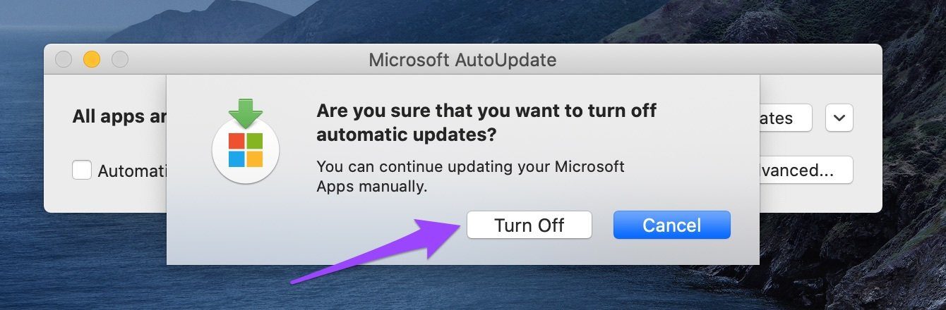 Что такое автоматическое обновление Microsoft Mac, как удалить 06