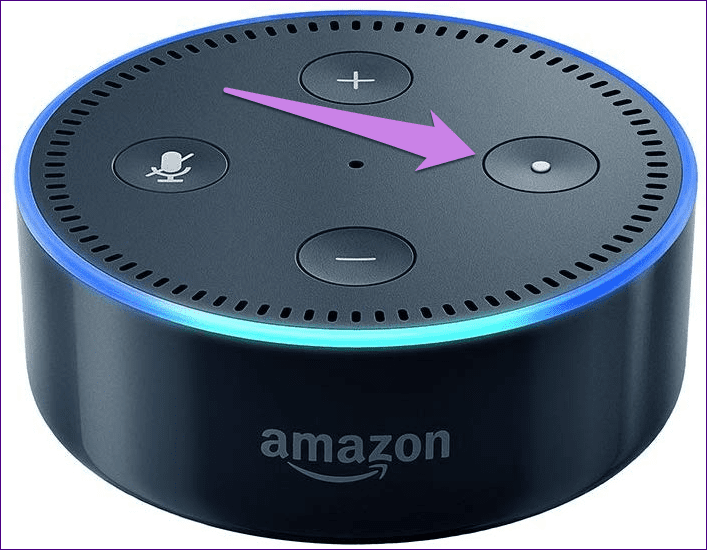 Тревоги Alexa на эхогиде 20