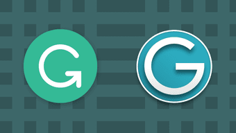 Изображение Grammarly против имбиря