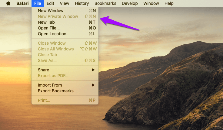 Отключить приватный просмотр Safari Mac 5