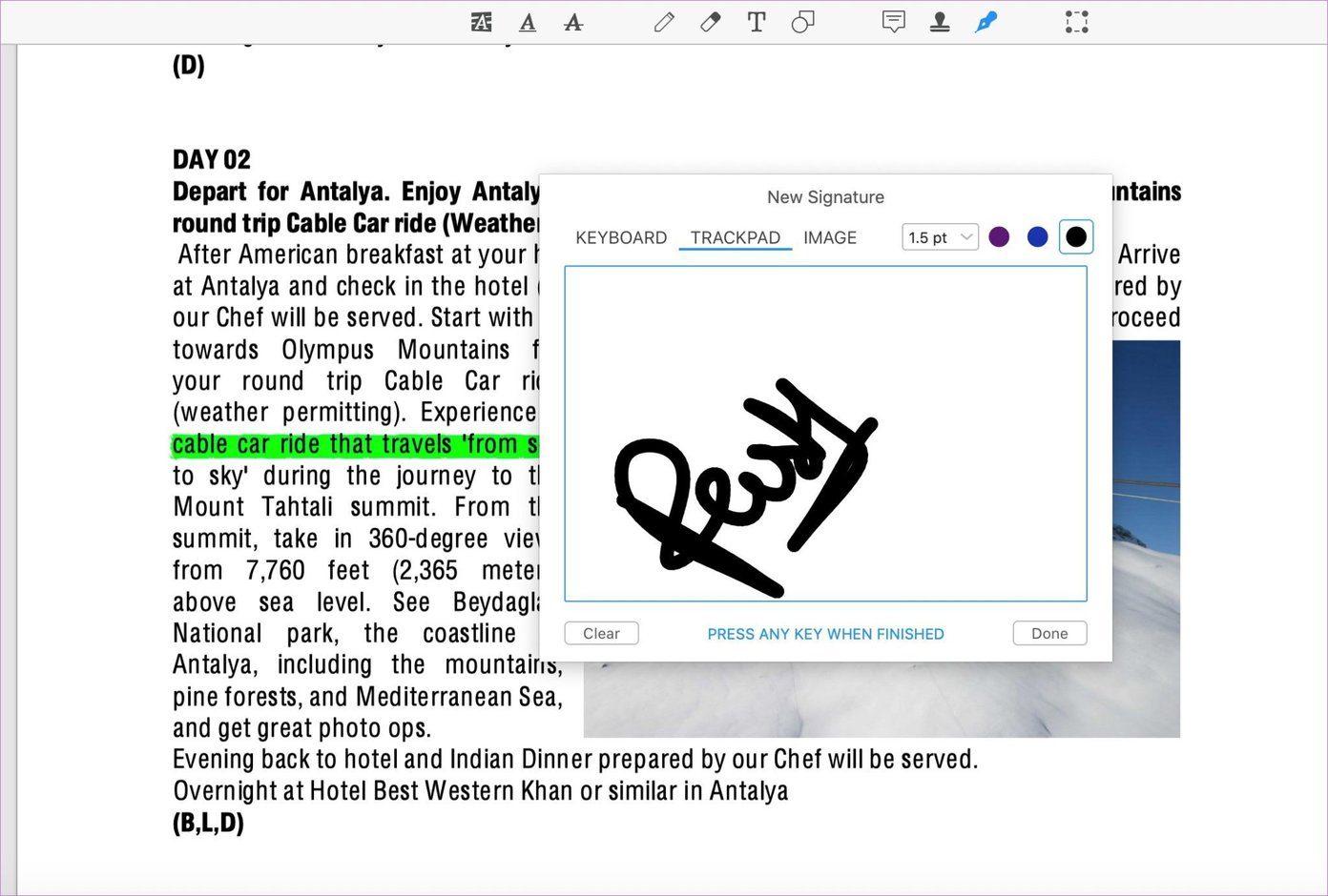 Оценка эксперта в формате PDF