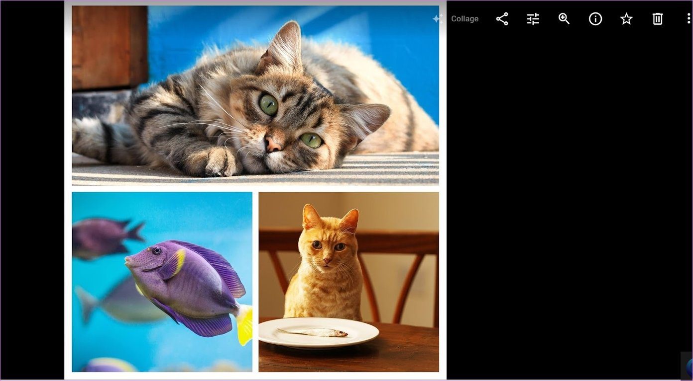 Создание коллажа в Google Photos для мобильных устройств и компьютеров 3