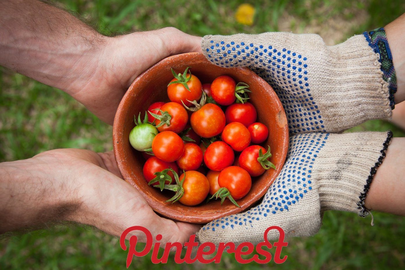 Поделиться досками Pinterest Fi