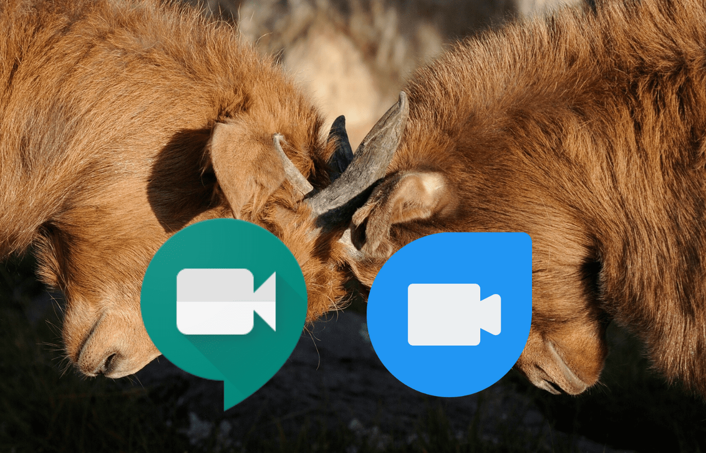 Сравнение Google Meet и Google Duo