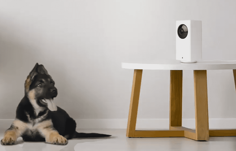 Wyze Cam v3 по сравнению с Камера Wyze 8