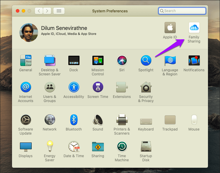 Отключить приватный просмотр Safari Mac 9