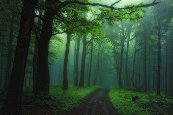 Большой палец 1920 813527 1024X680