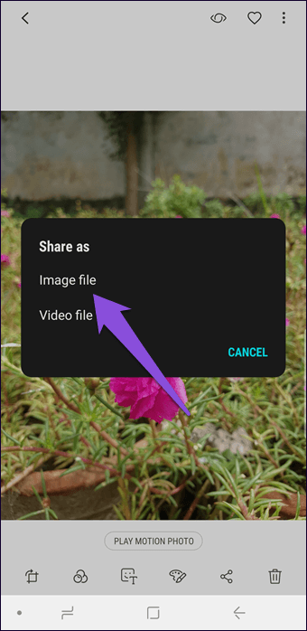 Как конвертировать движущиеся фотографии в Gif в Samsung Galaxy Note 8, Note 9 и S9 10