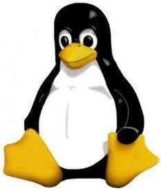 5654683066 6703251656Е
