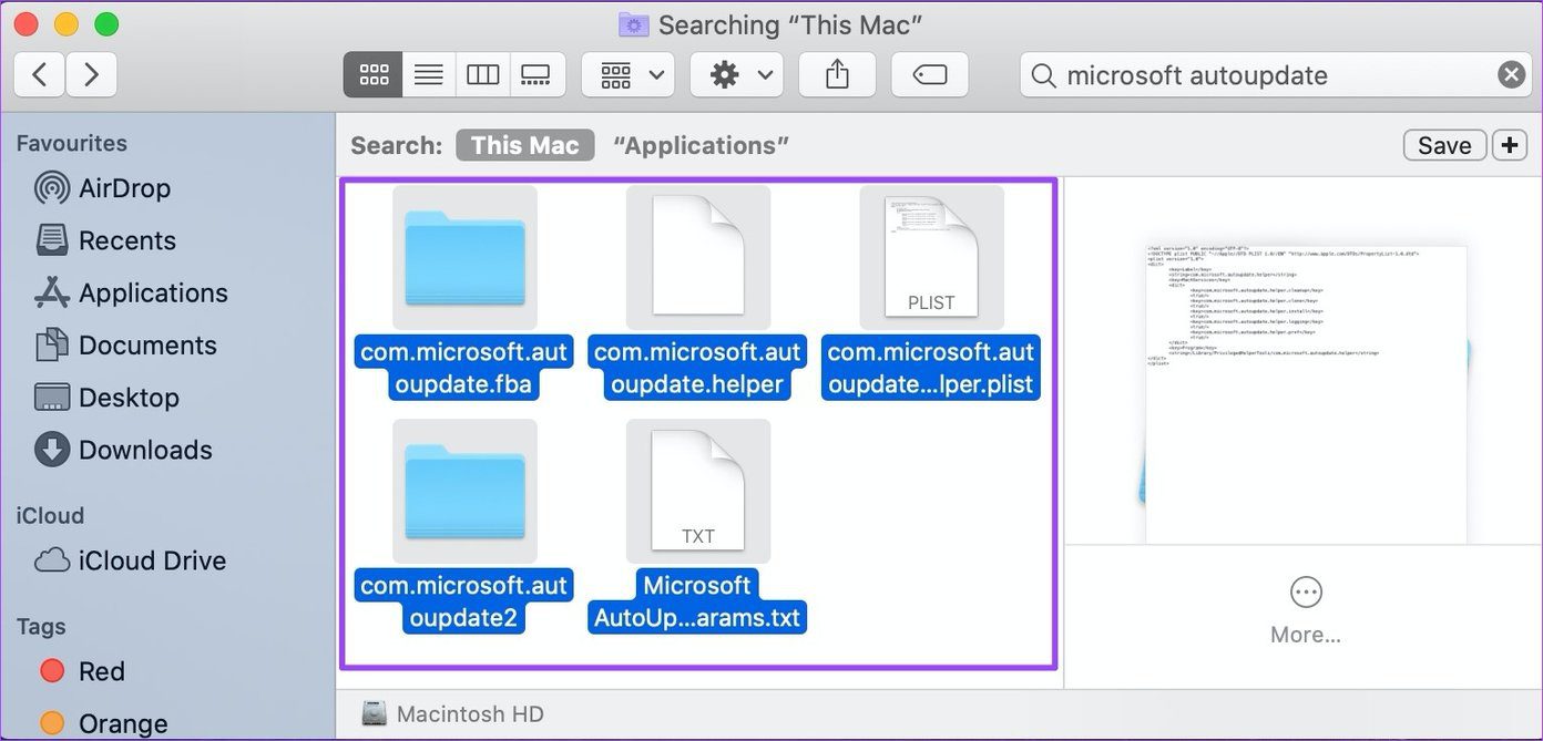 Что такое автоматическое обновление microsoft mac как удалить 01