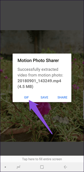 Как конвертировать движущиеся фотографии в Gif в Samsung Galaxy Note 8, Note 9 и S9 5