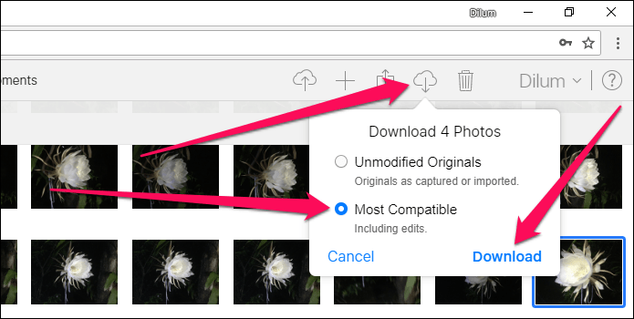 I Cloud Photos не загружает Windows 10 16