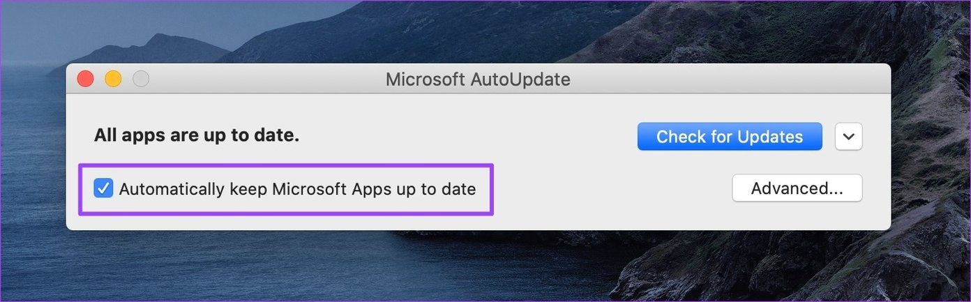 Что такое автоматическое обновление Microsoft Mac, как удалить 05