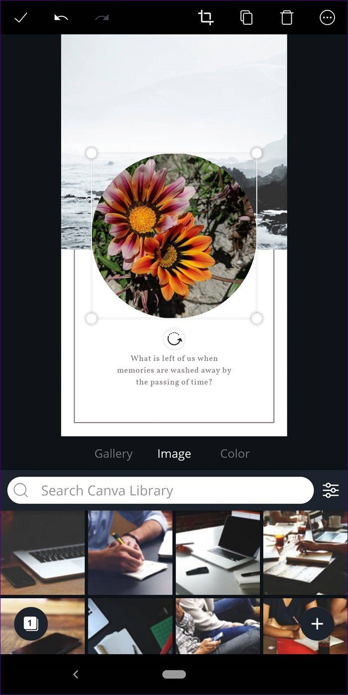 Обрезать в форму Canva 30