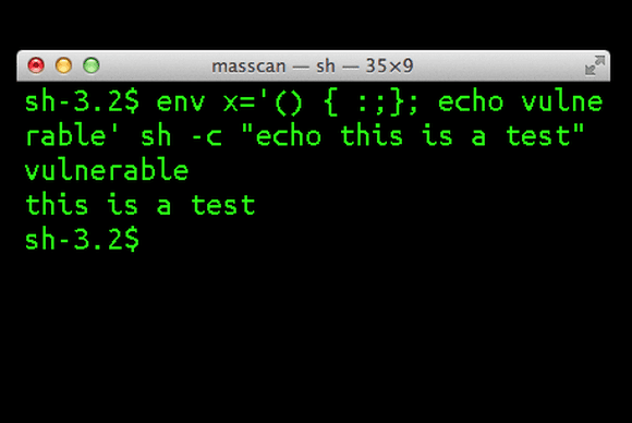 Shellshock 100455590 Большой