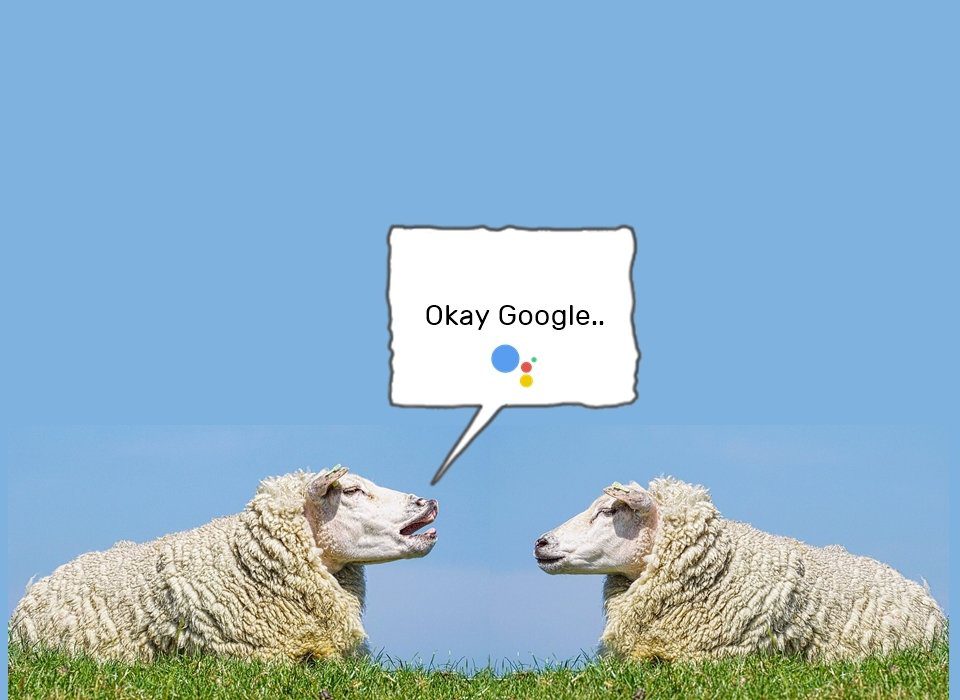 Google Ассистент не говорит по-фи 1