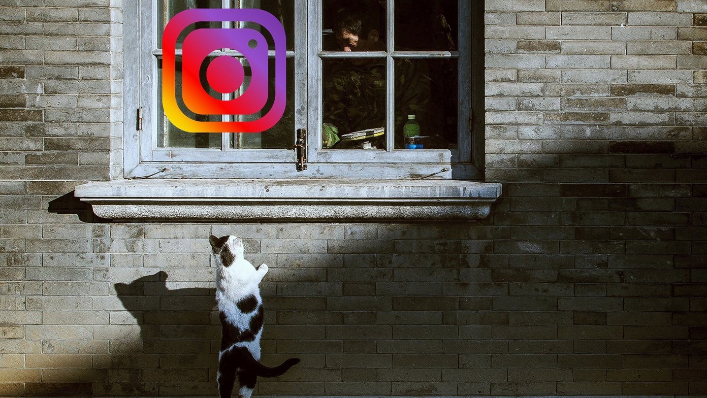 Что происходит, когда вы блокируете Instagram Fi