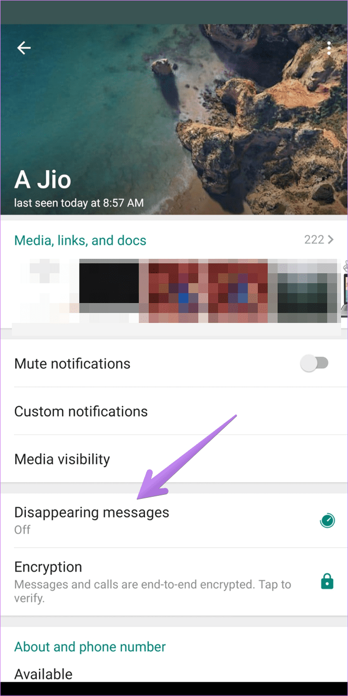 Whatsapp исчезают сообщения, означающие 5