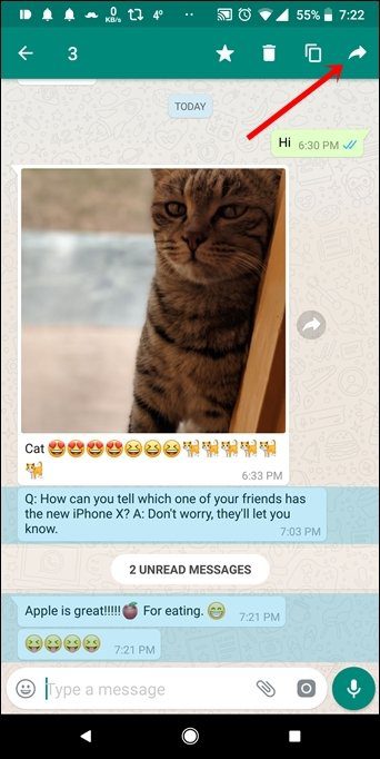 Переслать несколько сообщений в WhatsApp 1