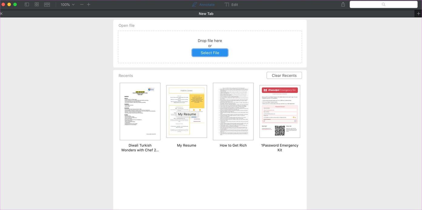Экспертный интерфейс PDF