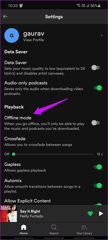 Слушайте Spotify Offline на мобильных устройствах и Windows 4